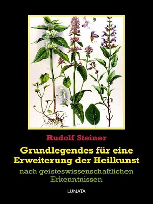 cover image of Grundlegendes zur Erweiterung der Heilkunst